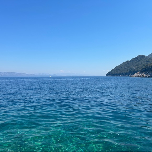 Meet your Posher, Nina - Picture 2 of 13